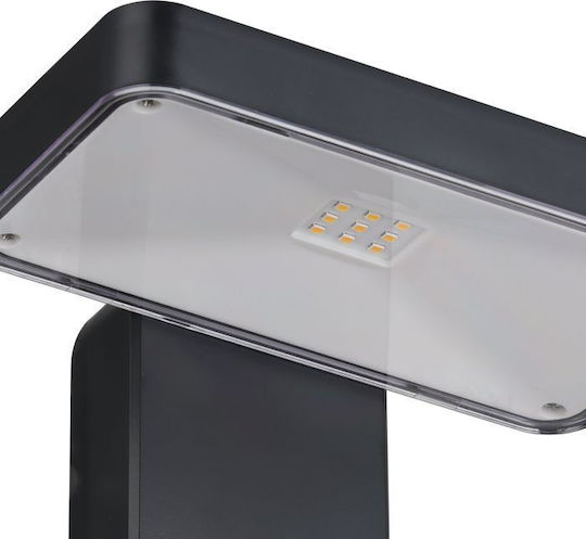 Eglo Pastion Wall Mounted Solar Light 4.5W 200lm Warm White 3000K with Motion Sensor IP44 18cmx12cmcm