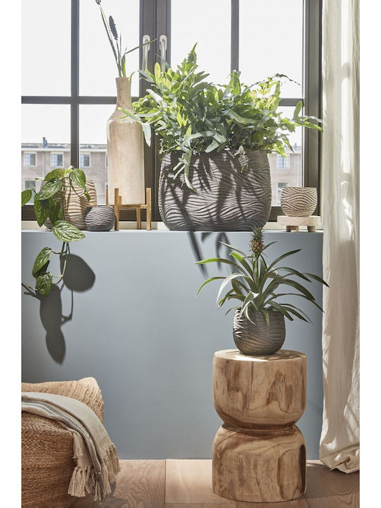 Mica Ghiveci Ceramică Bej Mica Ghiveci Ceramică Bej