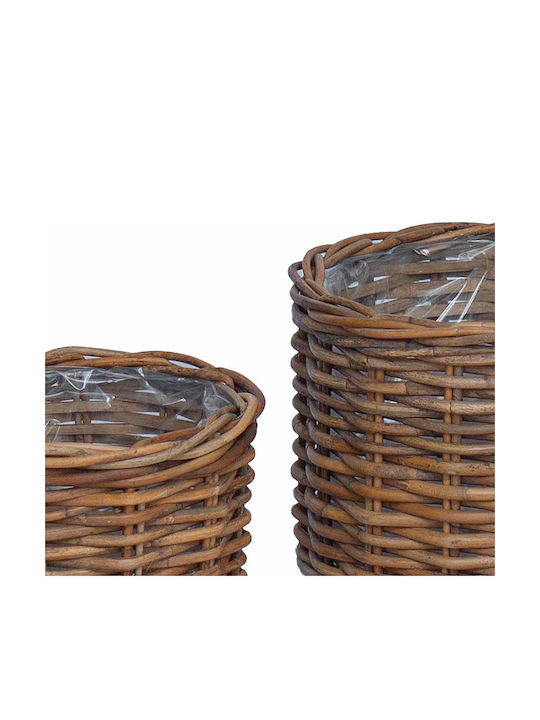 vidaXL Κασπώ Rattan Καφέ 2τμχ