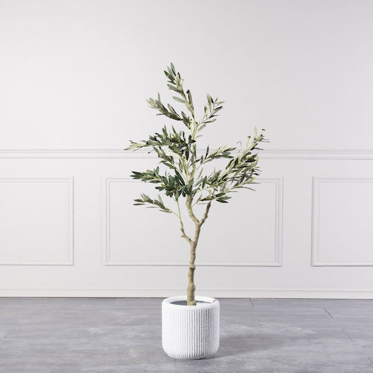 Ελιά σε Γλάστρα 120cm Supergreens