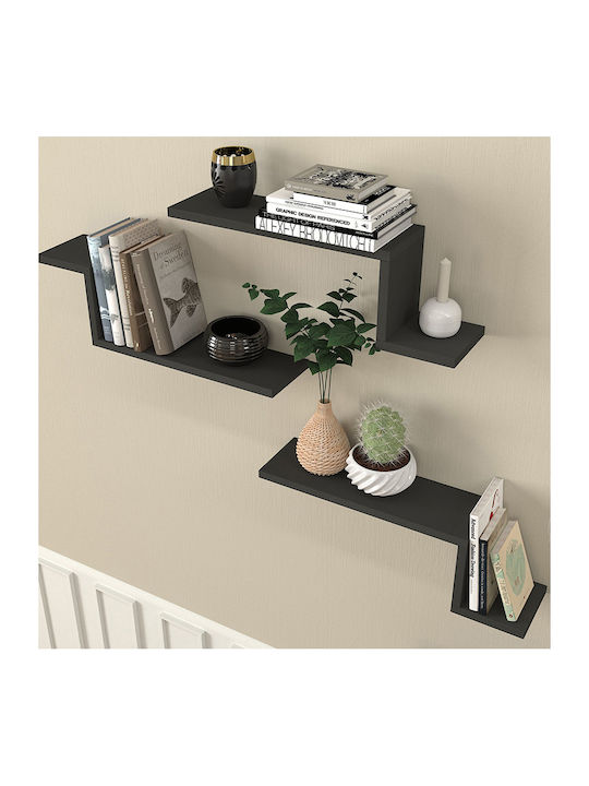 Lowa Wall Shelves Anthracite (3 Pieces) 57.7x14.5x18cm