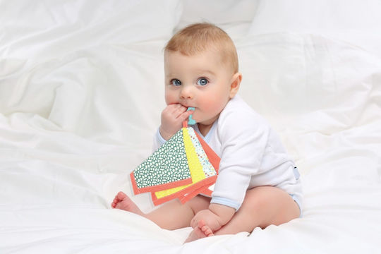 Baby Jem Μασητικό Οδοντοφυΐας Χωρίς BPA από Καουτσούκ για 3 m+