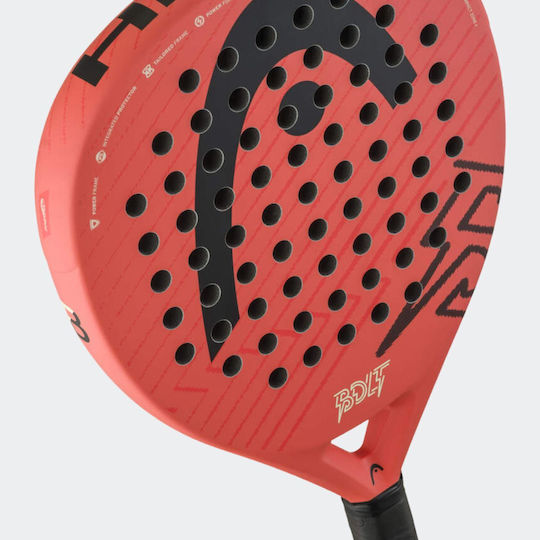 Head 226206