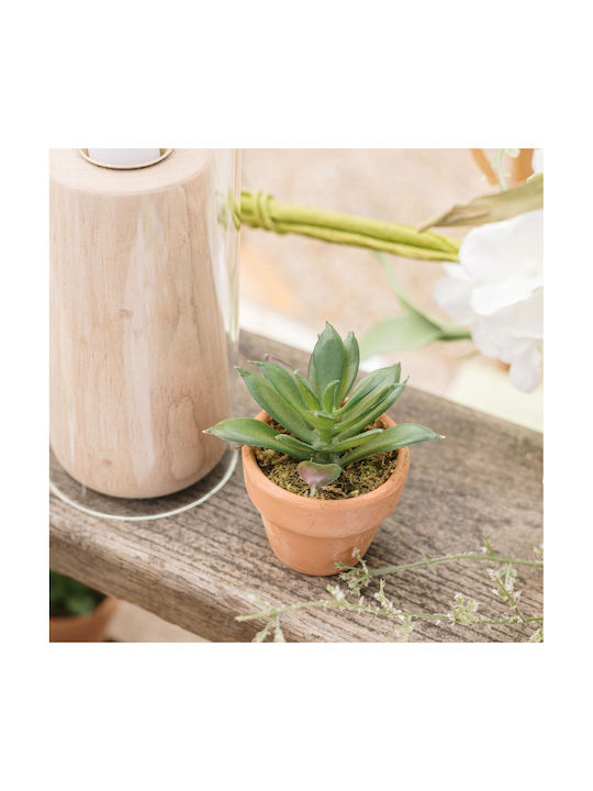 Τεχνητό Φυτό σε Γλαστράκι 6cm Beauty Home