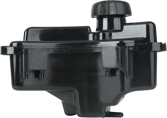 Genuine Briggs & Stratton Fuel Tank 103m-104m 594112