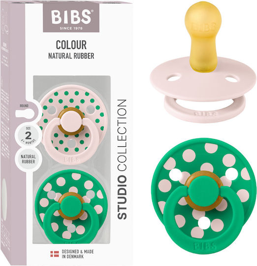 Bibs Πιπίλες Καουτσούκ Petal/Cactus για 6+ μηνών 2τμχ