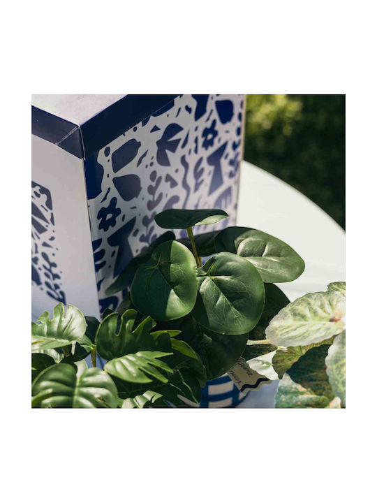 Τεχνητό Φυτό σε Γλαστράκι Μπλε 17cm Beauty Home