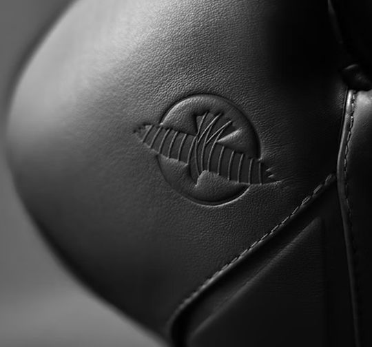Hayabusa Boxing Gloves Leather for Match Black