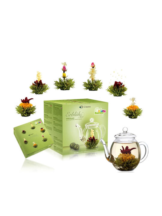 Creano Teekanne Glas Mehrfarbig 500ml