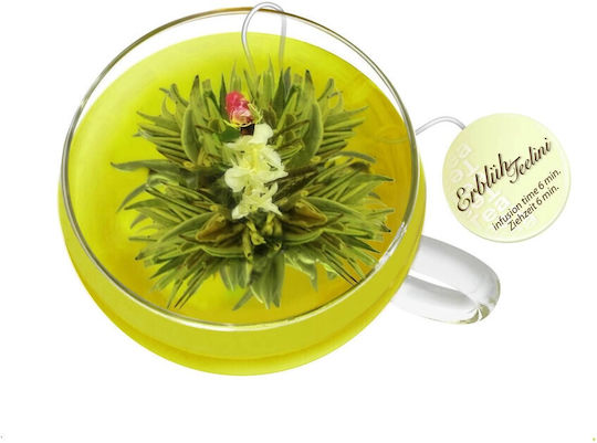 Creano Tasse Tee Glas Mehrfarbig 200ml