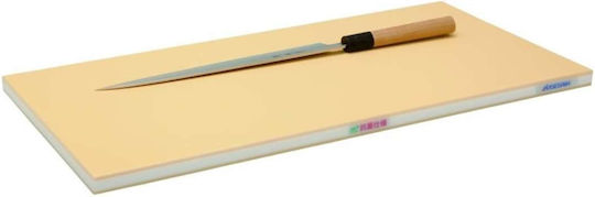 Hasegawa Schneidebretter Kunststoff 50x25cm
