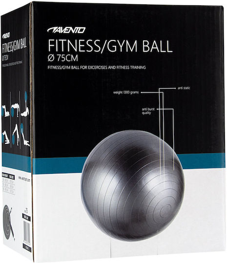Avento Μπάλα Pilates 75cm , 1.3kg σε Ασημί Χρώμα