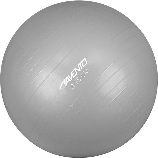 Avento Μπάλα Pilates 75cm , 1.3kg σε Ασημί Χρώμα