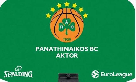 Spalding Μπασκέτα με Ταμπλό και Διχτάκι