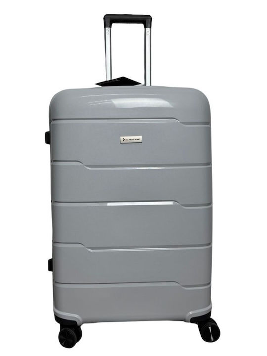 Suitcases Silver Suitcases Silver