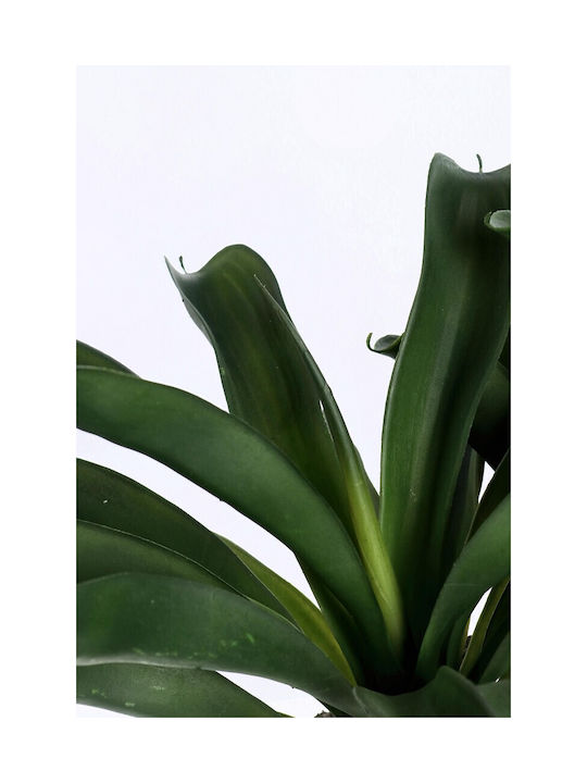 Bizzotto Plantă Ananas Cu Vază W X2tr H43cm 53x40x43h
