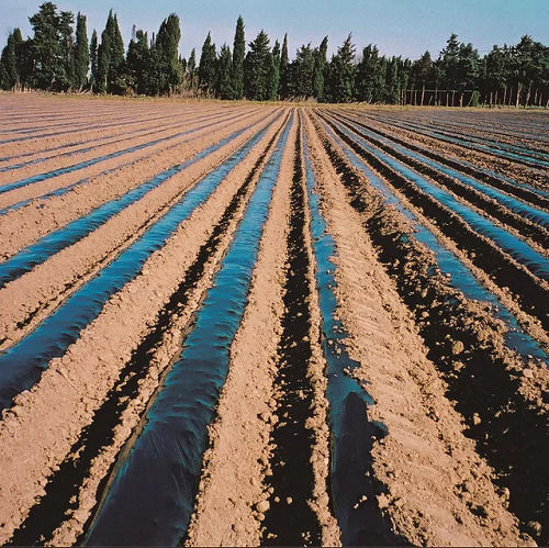Biodegradable Ground Cover Fabric 15gr/m² 1.2x100m Black
