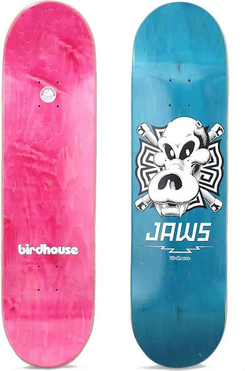 Birdhouse Σανίδα Shortboard