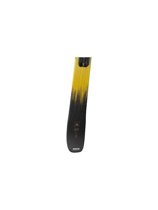 Rossignol Sender Soul Pro Unisex Skis in Black Colour