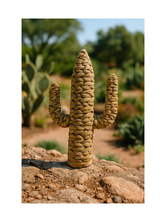 Decorative Cactus 28 W ×40 H Cm Water Hyacinth Natural