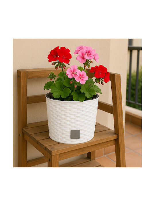 SGTT Blumentopf Runder Topf Kunststoff Weiß SGTT Blumentopf Runder Topf Kunststoff Weiß