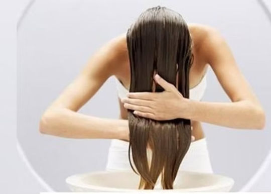 Urtekram No Perfume Hair Organic Σαμπουάν Ενυδάτωσης & Λάμψης για Κανονικά Μαλλιά 500ml