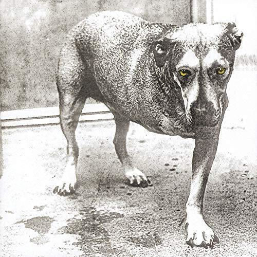 Alice In Chains Colored Vinyl Vinyl Lp