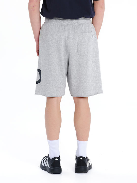 Sport Herren Shorts Grau 261.EM26.38