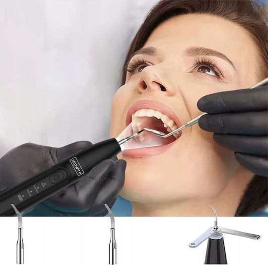 Ultrasonic Tooth Scaler Tartar Removal Dental Led