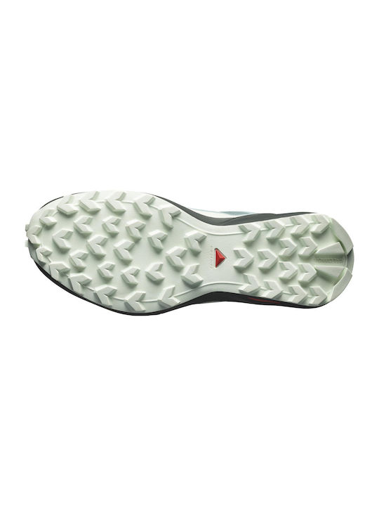 Salomon