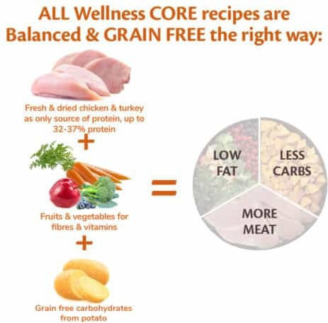 Wellness Core Low Fat Adult 10kg Dry Food Diet, Grain-Free for Adult Neutered Medium & Large Breed Dogs with Turkey