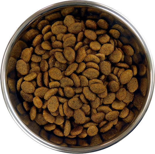 Barking Heads Golden Years 2kg Trockenfutter ohne Getreide für ältere Hunde mit Huhn und Brauner Reis