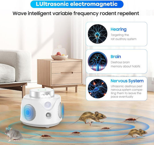 Ultraschallgerät Zur Abwehr Von Nagetieren
