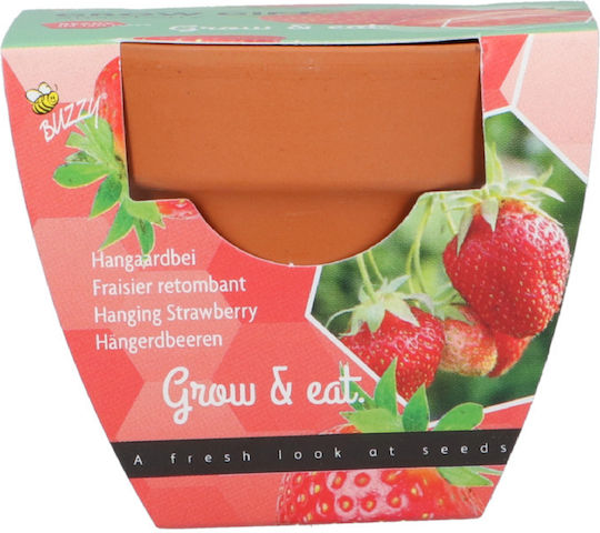 Strawberry Cultivation Kit – Ideal Gift For Children's Party