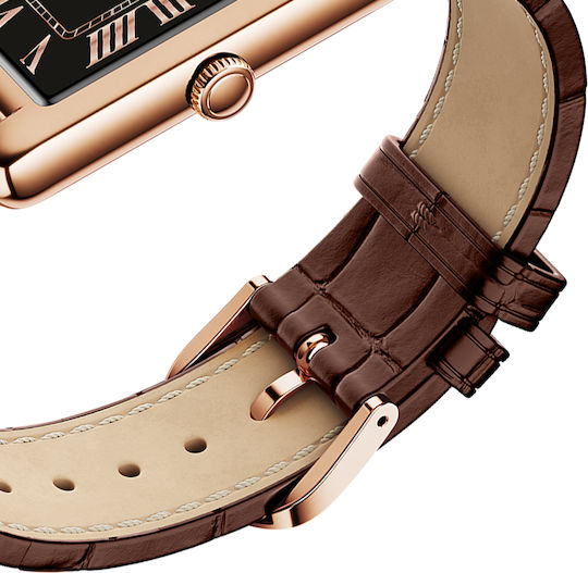 Ice 2.0 Smartwatch cu Pulsometru (Maro)