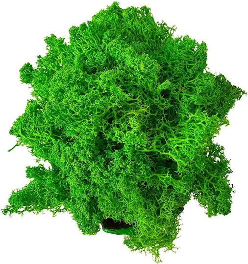 Velve Vază Decorativă Din Ceramică Verde