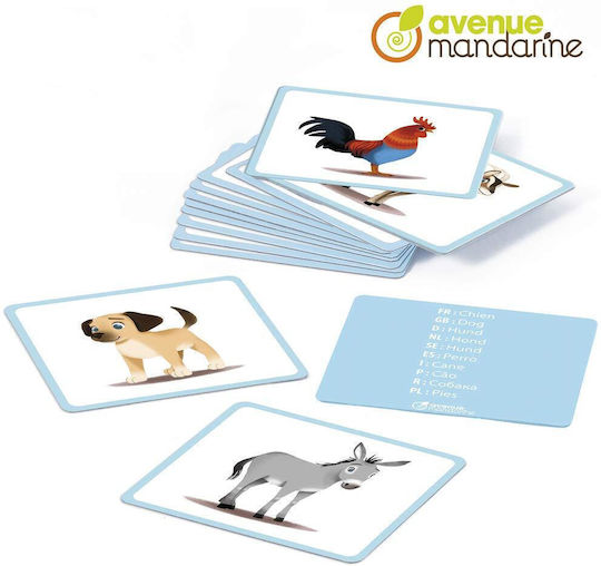 Επιτραπέζιο Παιχνίδι Imagine Pets για 2+ Παίκτες 2+ Ετών (FR) Avenue Mandarine