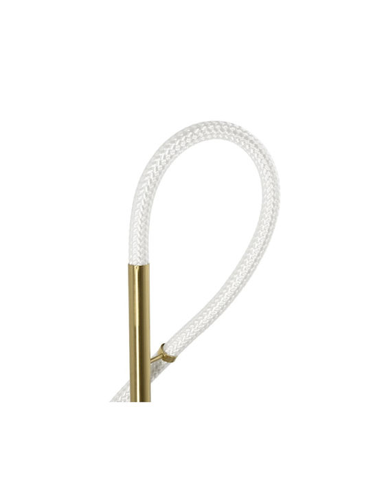 kelvo Modern Wall Lamp with Integrated LED and Adjustable Warm to Cool White Light Gold 30x30cm
