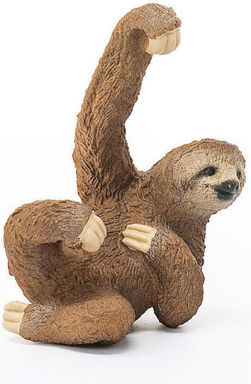 Schleich-S Wild Life Sloth Wild Life Sloth For 3+ Years 6.2cm (Miscellaneous Designs)