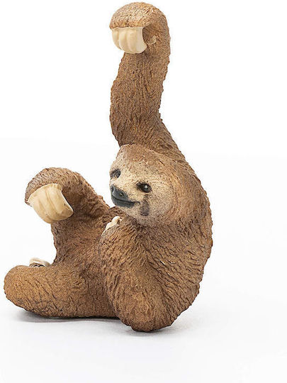 Schleich-S Wild Life Sloth Wild Life Sloth For 3+ Years 6.2cm (Miscellaneous Designs)