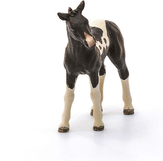 Schleich-S Farm Life Pinto Fohlen für 3+ Jahre Mehrfach
