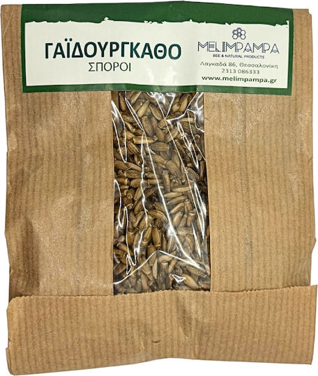 MeliMpampa Milk Thistle Seeds Thistle 50gr