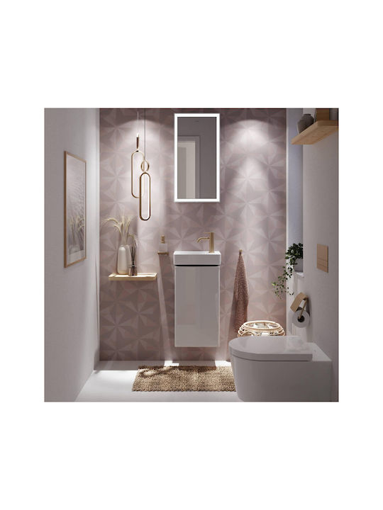 Hansgrohe Cârlig de Baie Simplu cu șuruburi Bronz