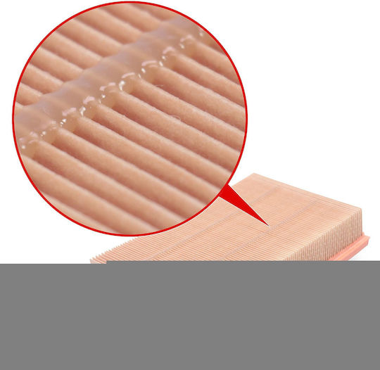 Mann Filter Car Air Filter for Ford Focus / Focus C-Max Mazda 3 Volvo C30 / S40 / V50