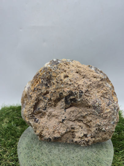 Geode Slice Agate Natural Decorative Stone
