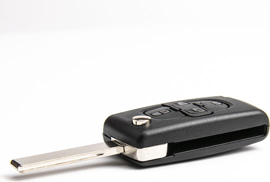 Car Key Shell Peugeot 1007 107 407 807 Hu83