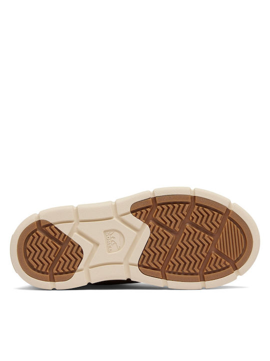 Sorel