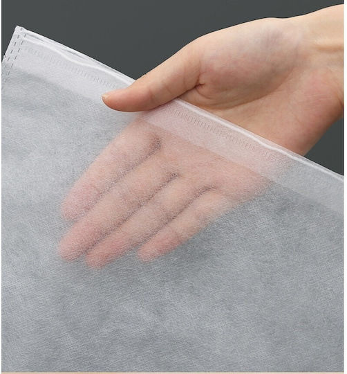 Alista Home Geantă Din Plastic Pentru Depozitarea Pantofilor 48x32x1cm 50 Bucăți