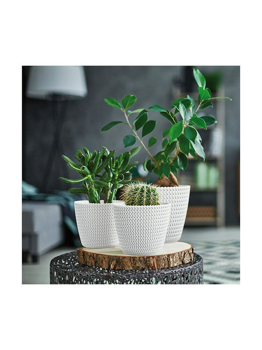 Prosperplast Splofy planter Pot Plastic 25.9x25.9x22cm.