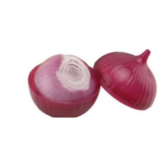 Alista Home Onion Storage Case 11x11x12cm